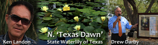 Texas Dawn Banner